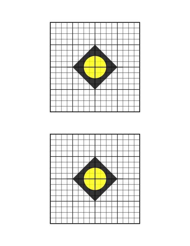 target for sighting in a rifle