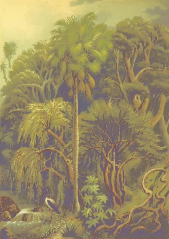 Jungle vegetation