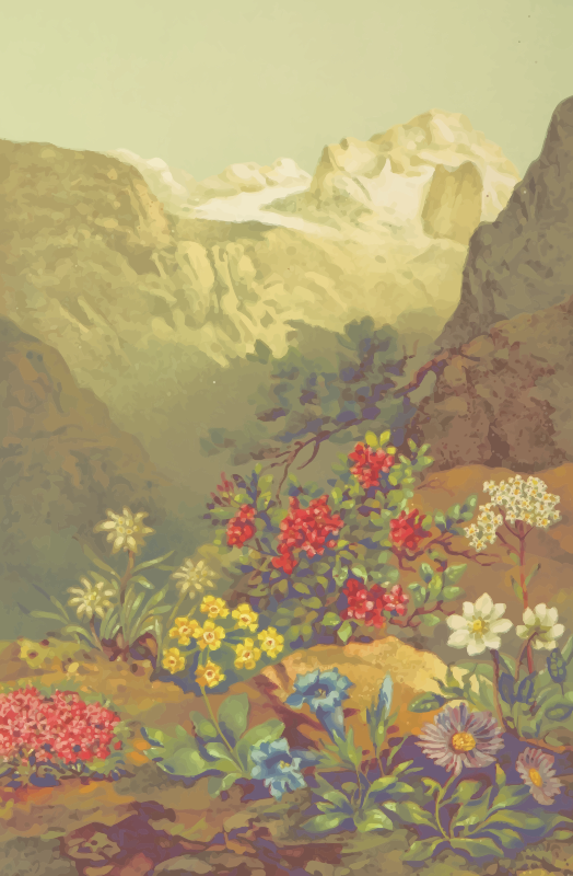 Alpine plants