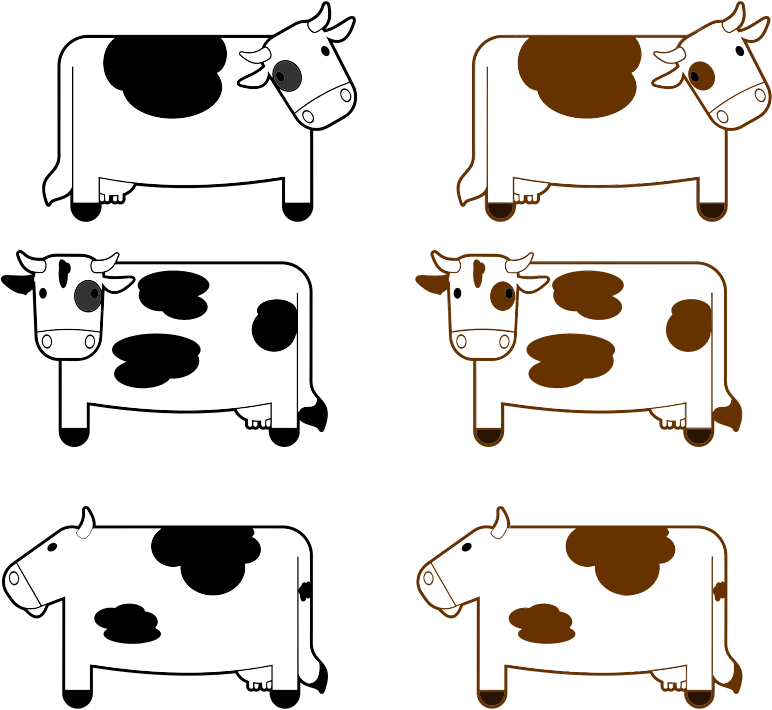 Black And Brown Cows