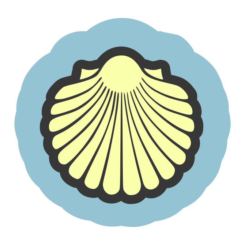 Scallop shell