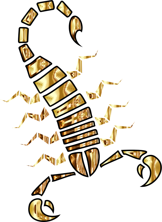 Colorful Abstract Tribal Scorpion 5