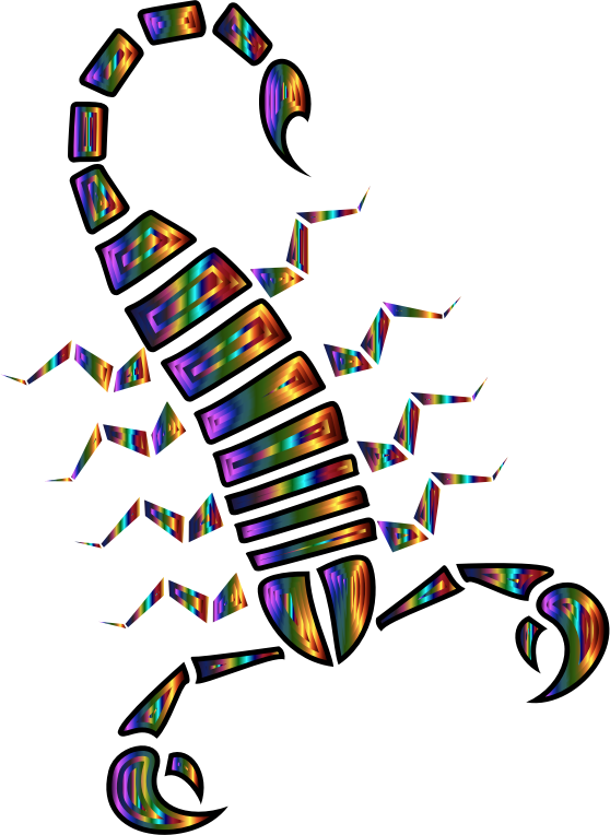 Colorful Abstract Tribal Scorpion 6