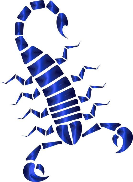 Colorful Abstract Tribal Scorpion 8