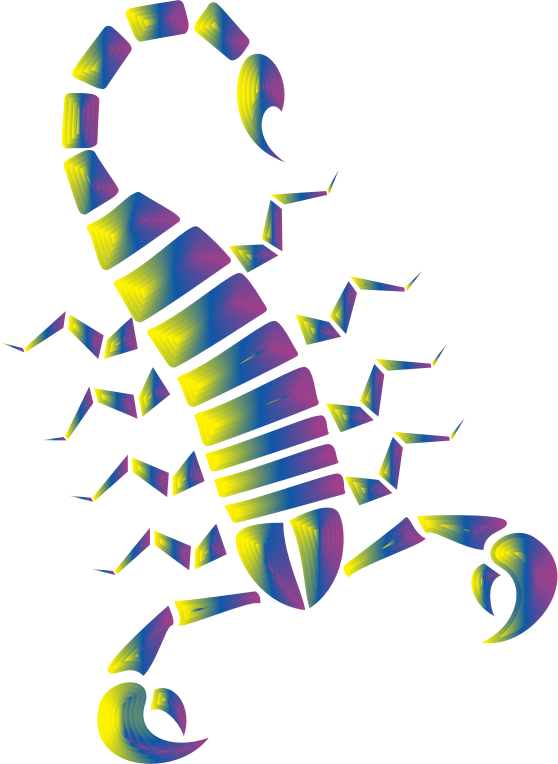 Colorful Abstract Tribal Scorpion 9