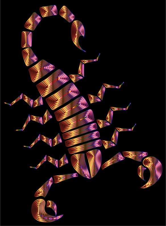 Colorful Abstract Tribal Scorpion 14