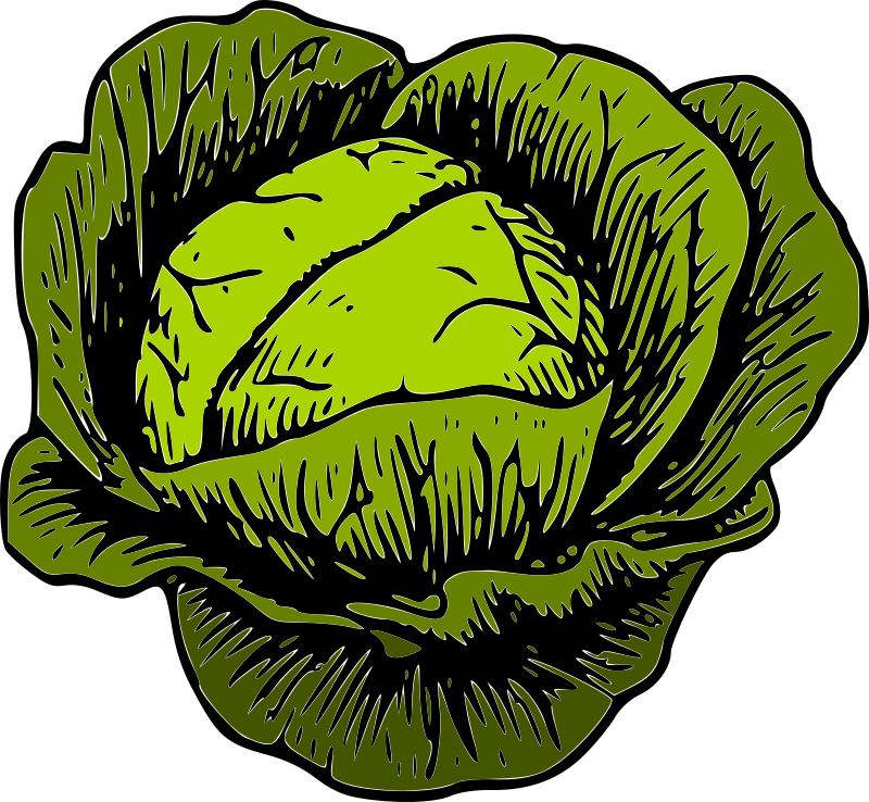 Green Cabbage