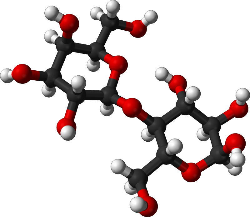 Famous (and infamous) molecules 5 - lactose