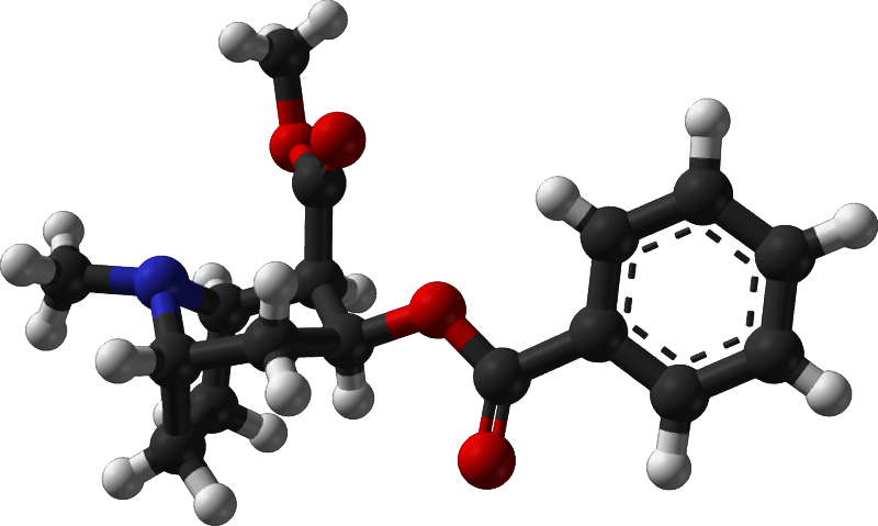 Famous (and infamous) molecules 6 - cocaine