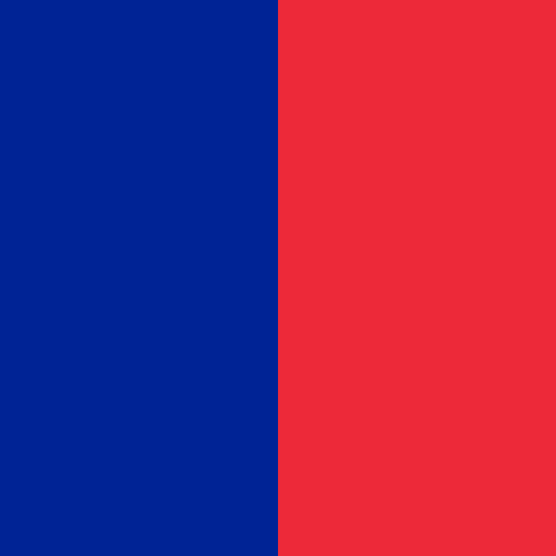 Flag of Paris, November, 2015, terrorist, attack, worldnews