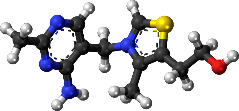 Famous (and infamous) molecules 26 - vitamin B1