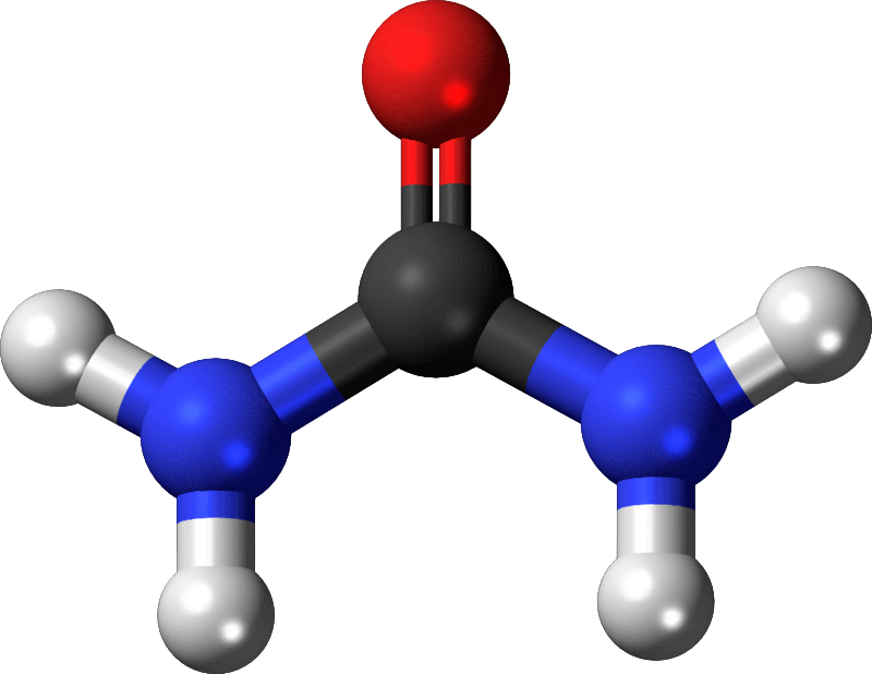 Famous (and infamous) molecules 28 - urea