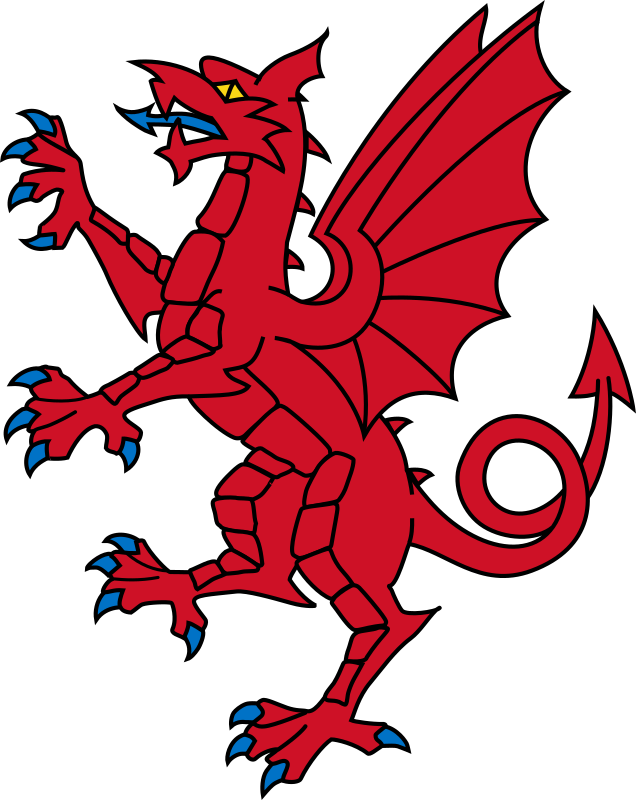 Somerset dragon