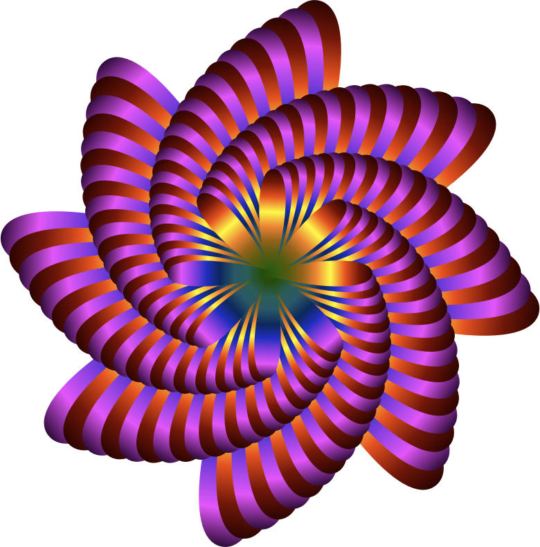 Colorful Nautilus 2