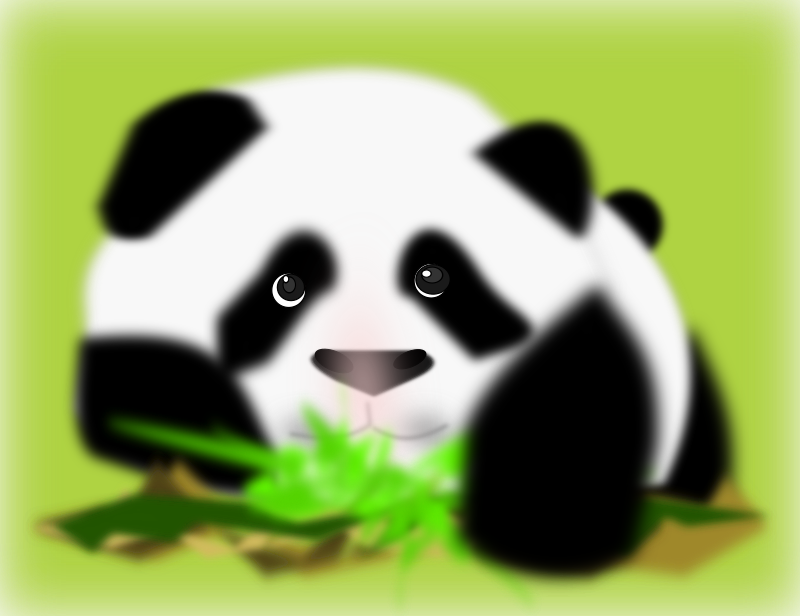 panda