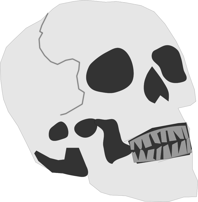 Simplified Skull