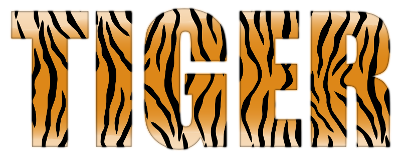 Tiger Typography Enhanced