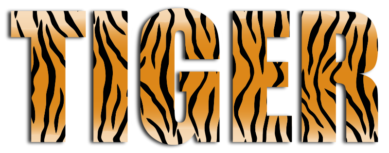 Tiger Typography Enhanced 2