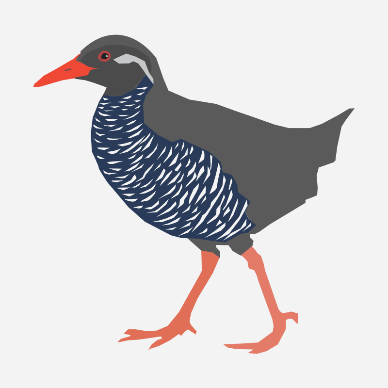 Okinawa rail-Yanbaru kuina