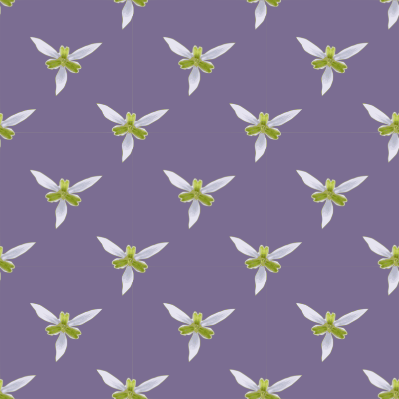 Orchid-seamless pattern