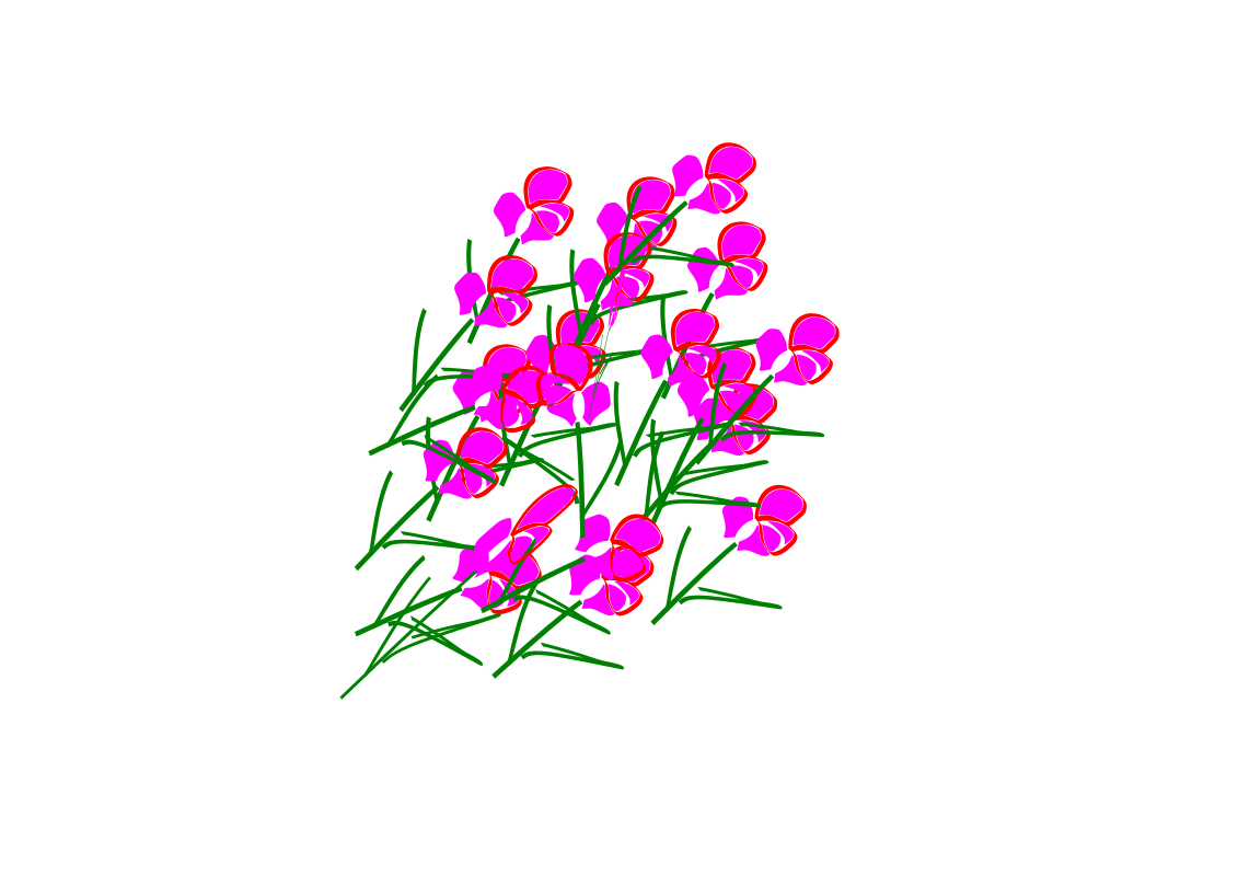 Botanical