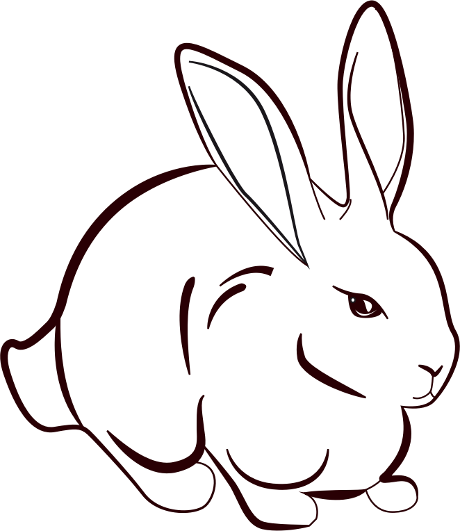 Rabbit Line Art