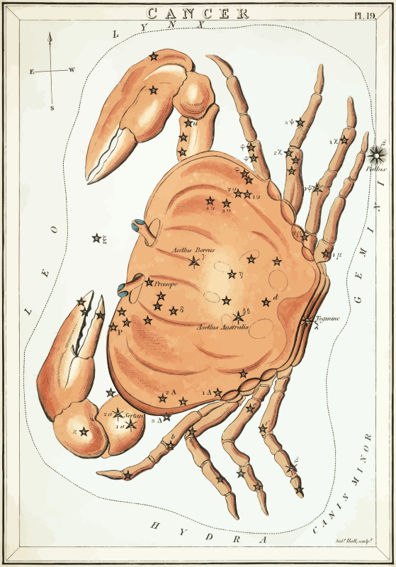 Urania's Mirror - plate 19