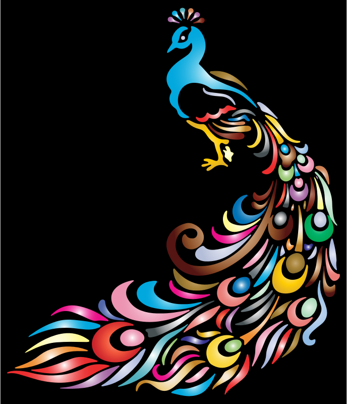 Chromatic Peacock 2