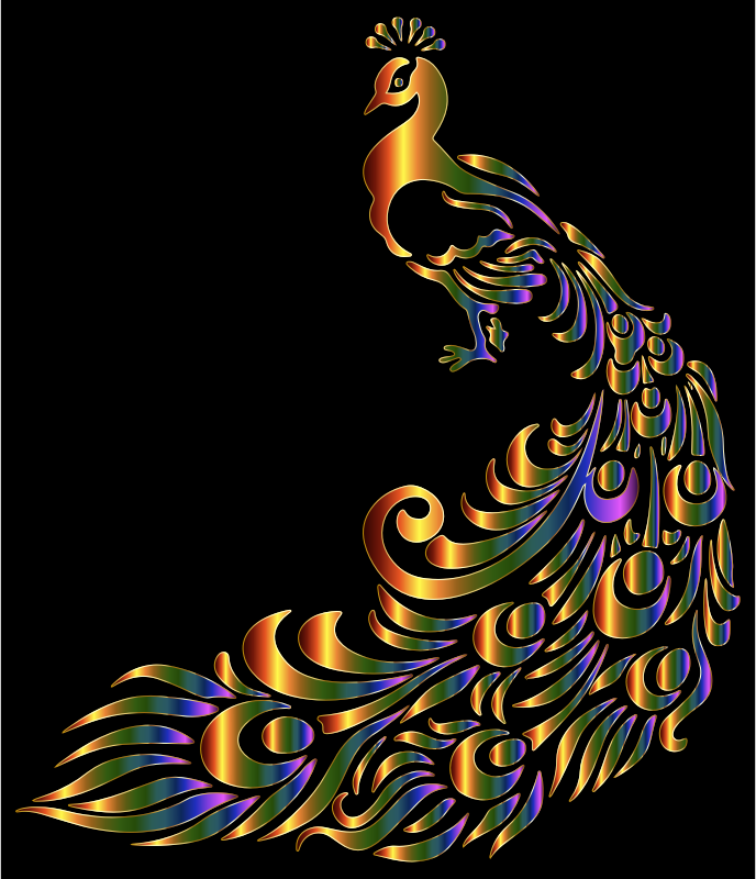 Chromatic Peacock 7