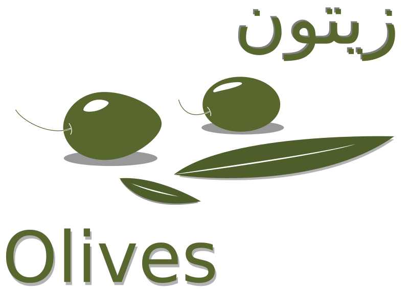 Olive - زيتون