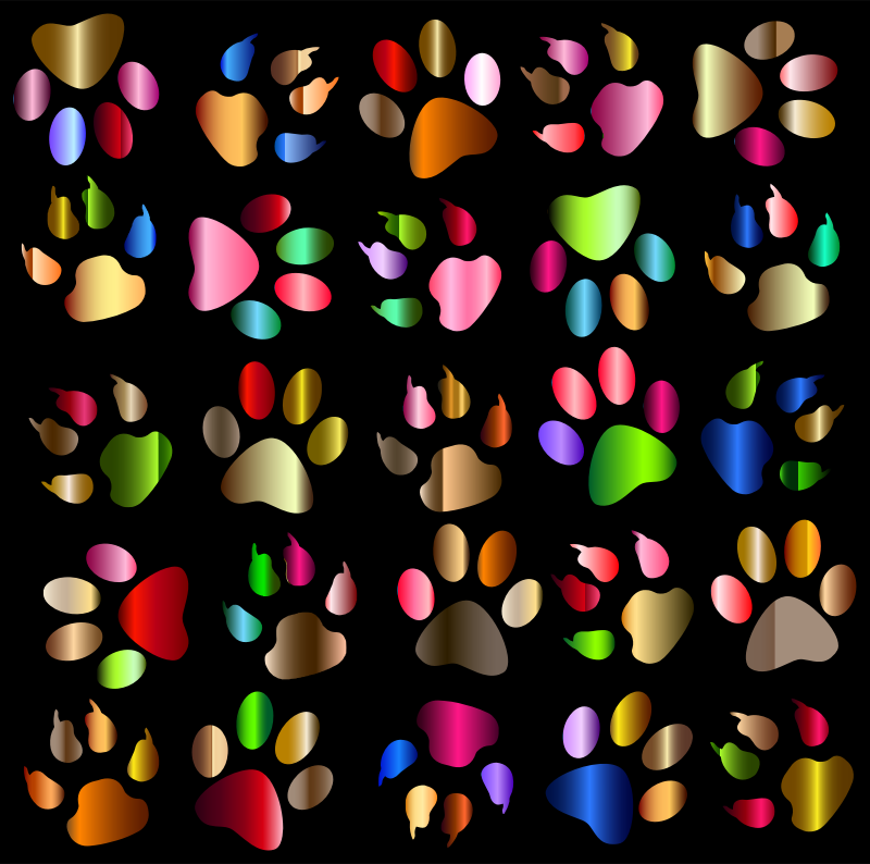 Colorful Paw Prints Pattern Background Reinvigorated