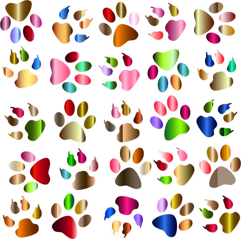 Colorful Paw Prints Pattern Background Reinvigorated No Black background