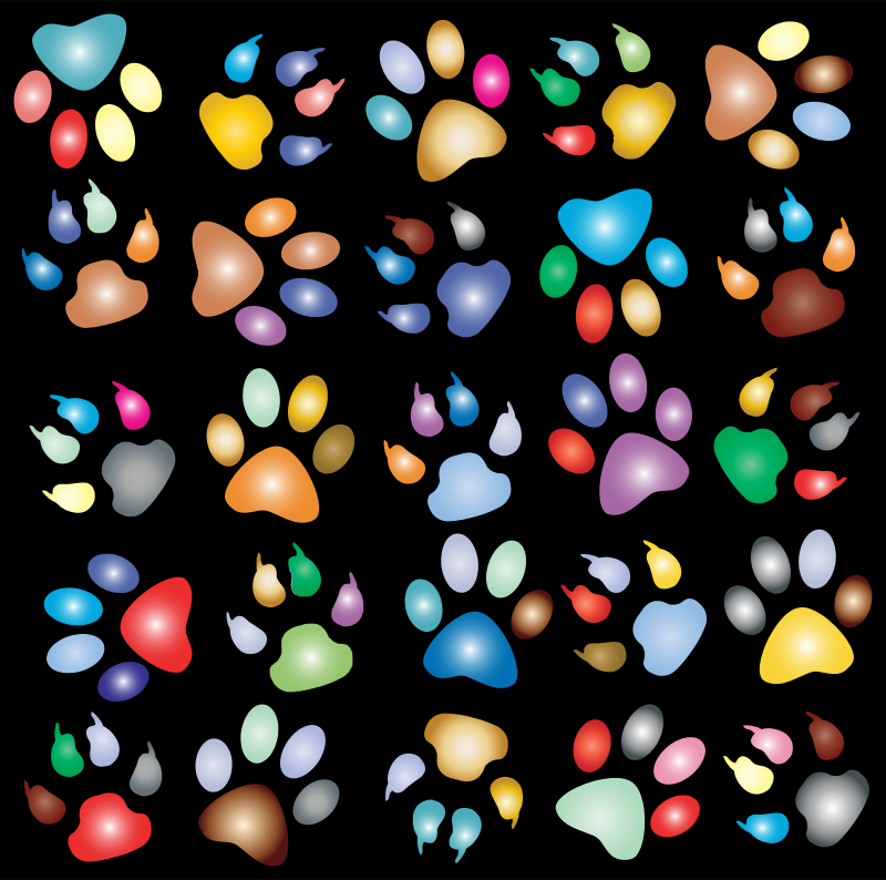 Colorful Paw Prints Pattern Background Reinvigorated 2