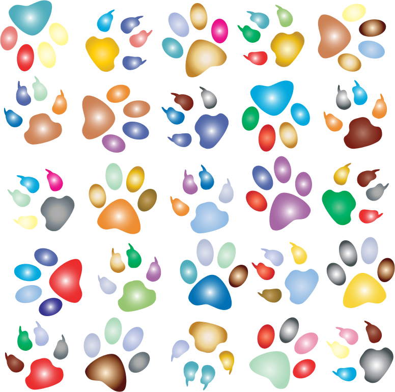 Colorful Paw Prints Pattern Background Reinvigorated 2 No Black background