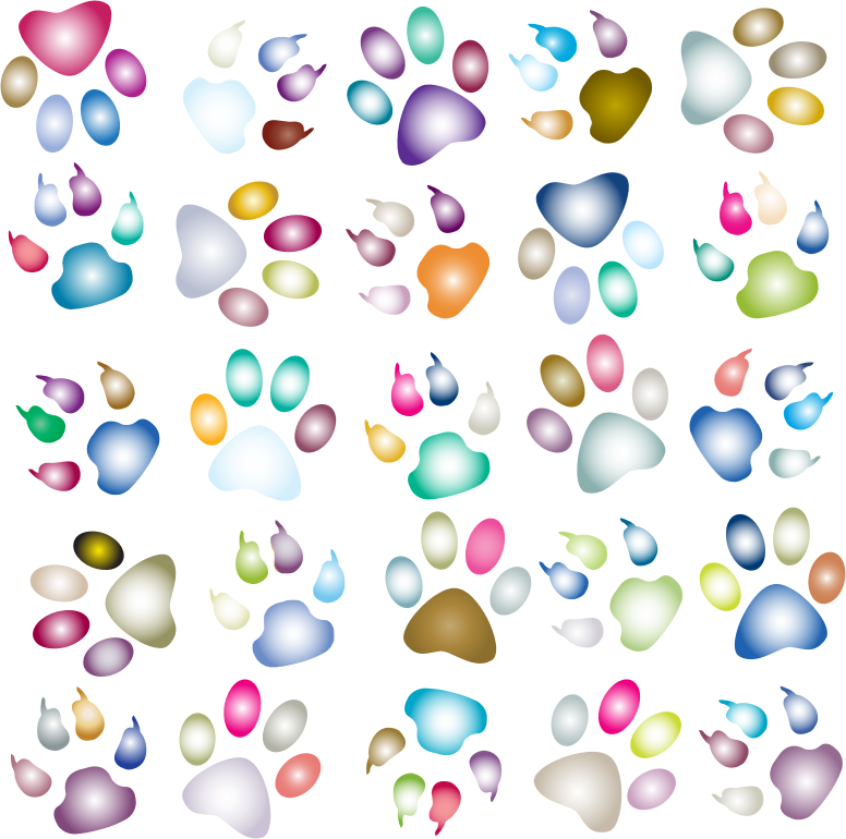 Colorful Paw Prints Pattern Background Reinvigorated 3 No Black background