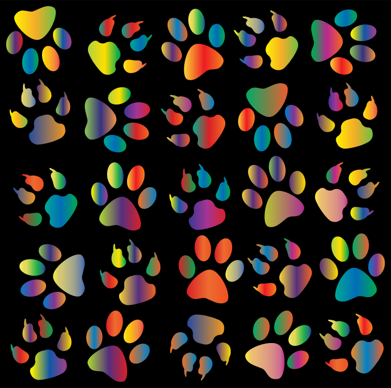 Colorful Paw Prints Pattern Background Reinvigorated 4