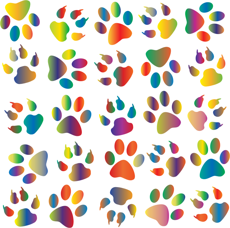 Colorful Paw Prints Pattern Background Reinvigorated 4 No Black background