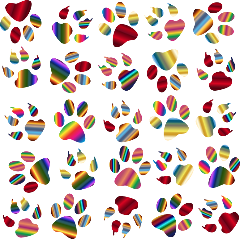Colorful Paw Prints Pattern Background Reinvigorated 5 No Black background