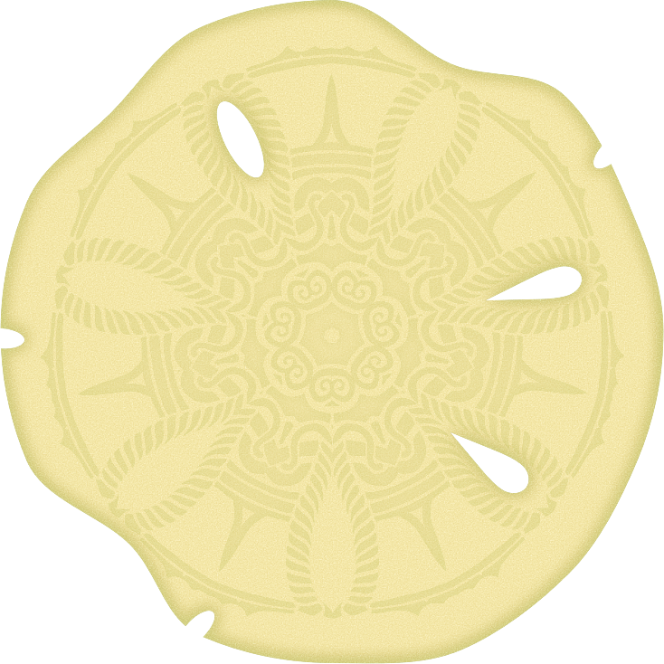 Sand Dollar Skeleton