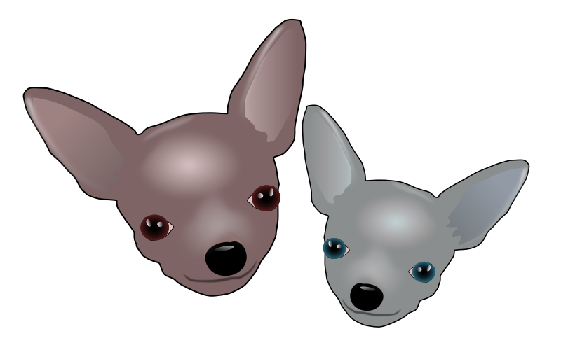 Two Chihuahuas