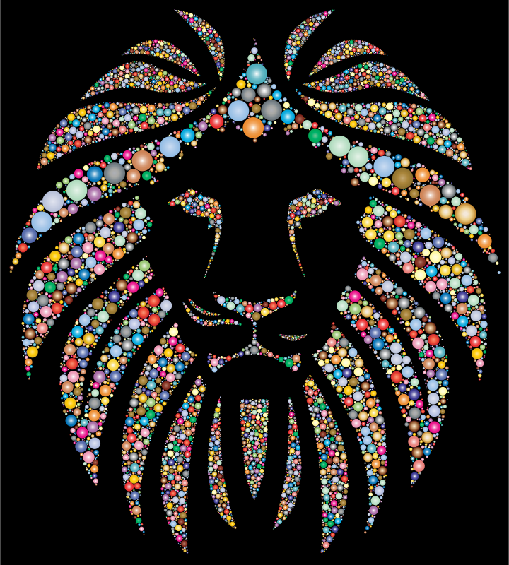 Colorful Lion Circles 2