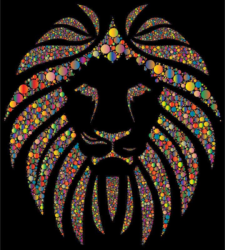 Colorful Lion Circles 3