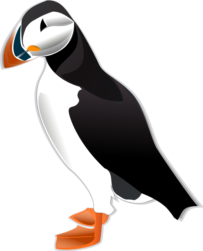 Puffin