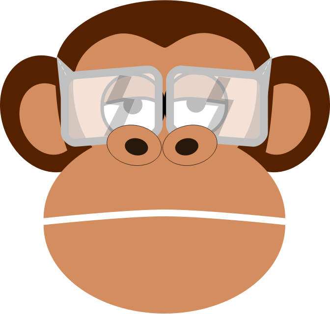 eye protection monkey