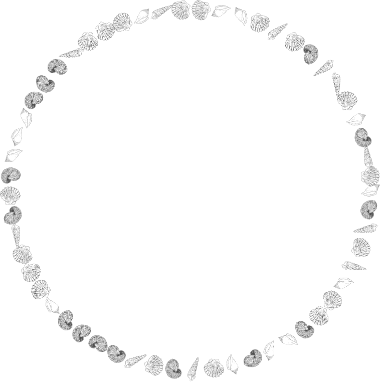 Round Shells Frame 2