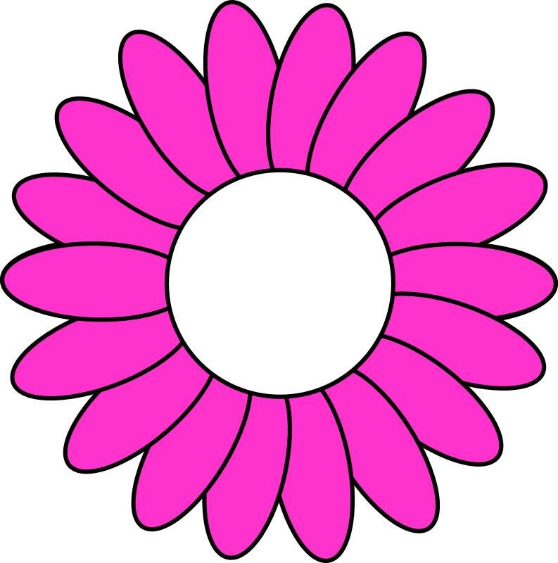 Magenta Petals