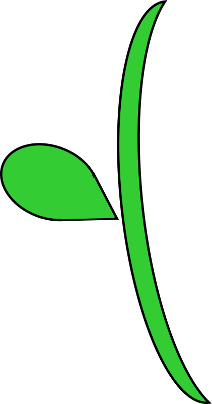 Curvy flower stem