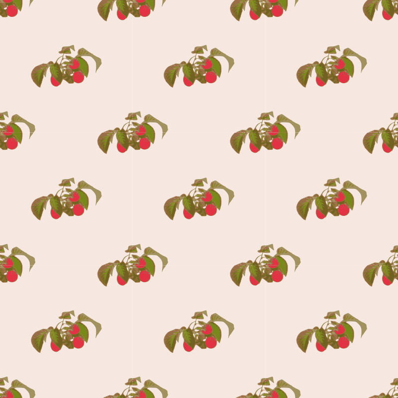 Raspberry-seamless pattern