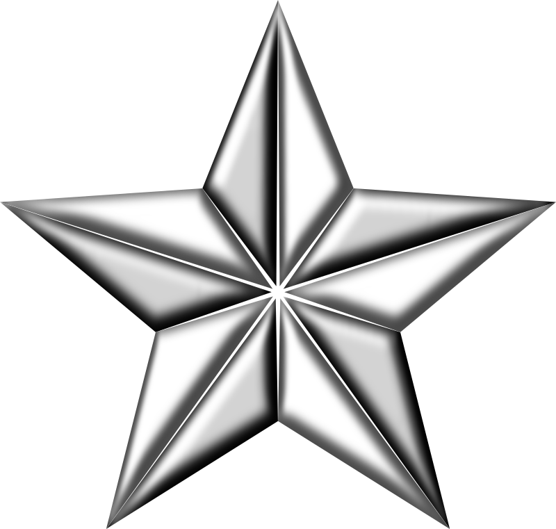 3D segmented silver star