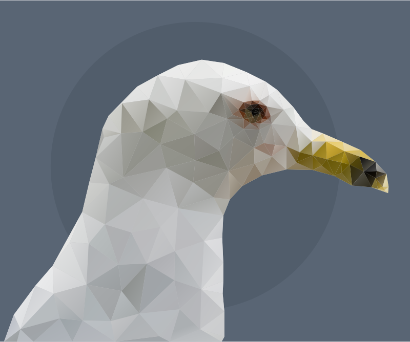 Low Poly Sea Gull